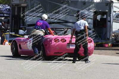 media/Sep-27-2025-24 Hours of Lemons (Sat) [[04fd3ac4ac]]/Around the Pits/